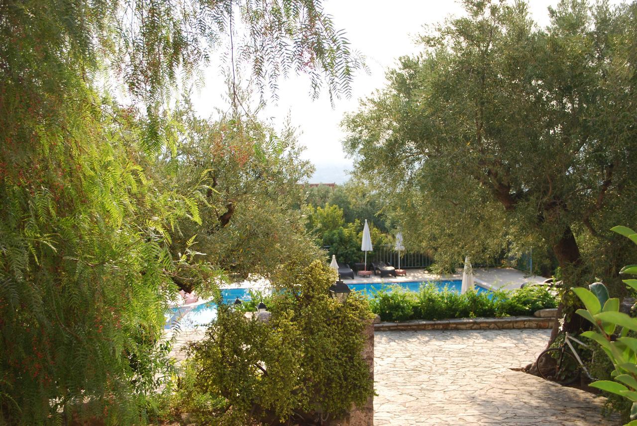 Anatoli Labreon Hotel Agia Marina  Exterior photo